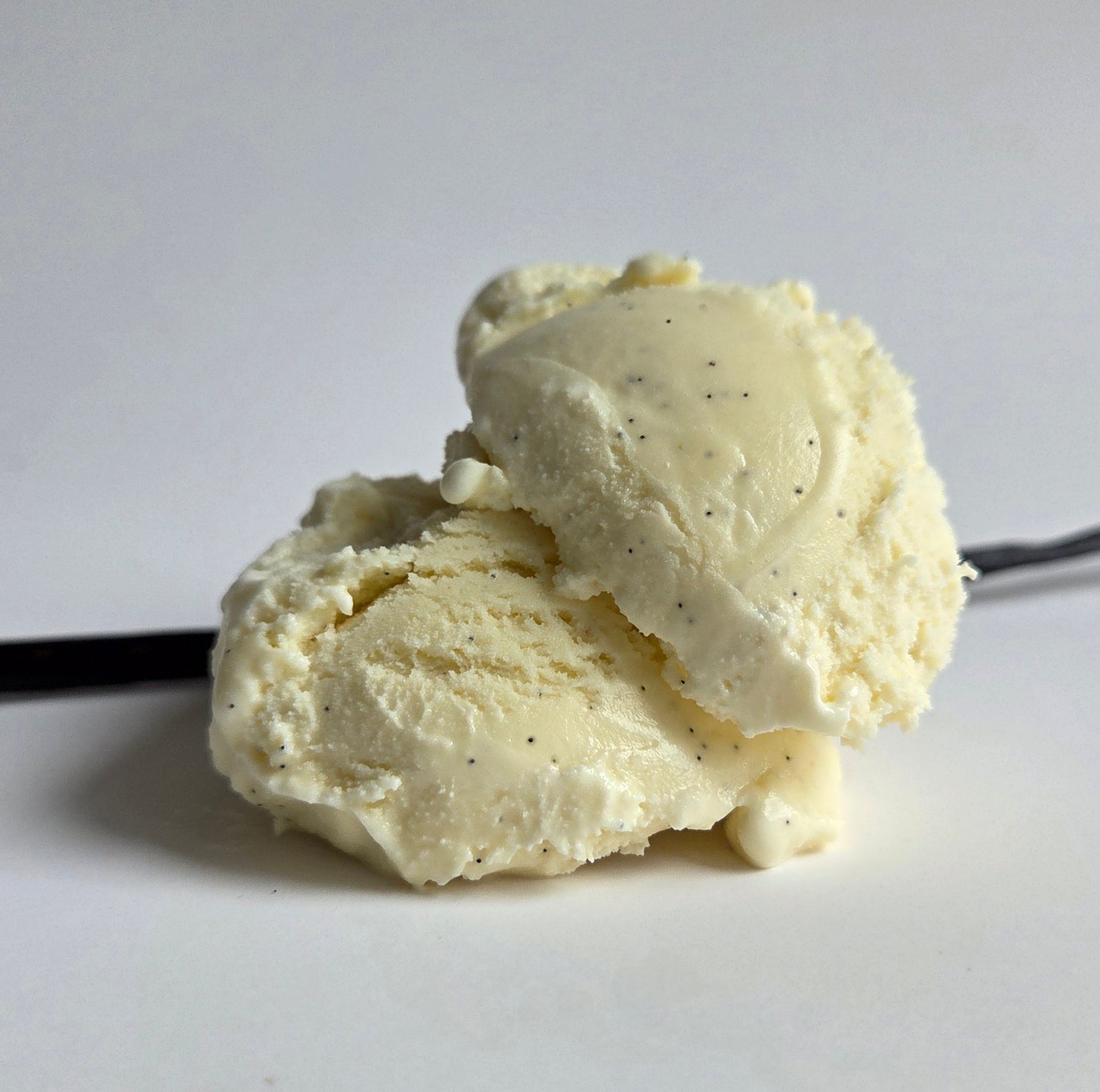 sumatran vanilla bean (premium)